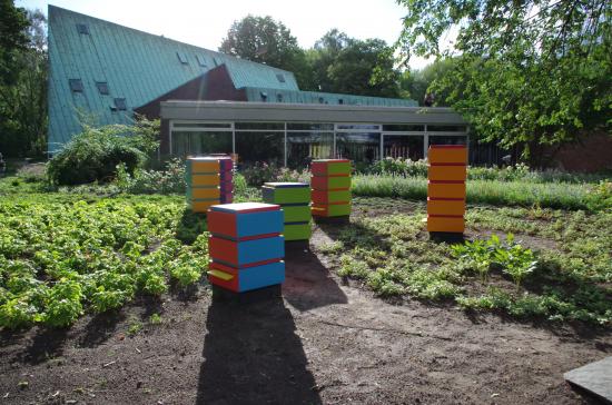 Akademie-Garten mit den Bienenvölkern