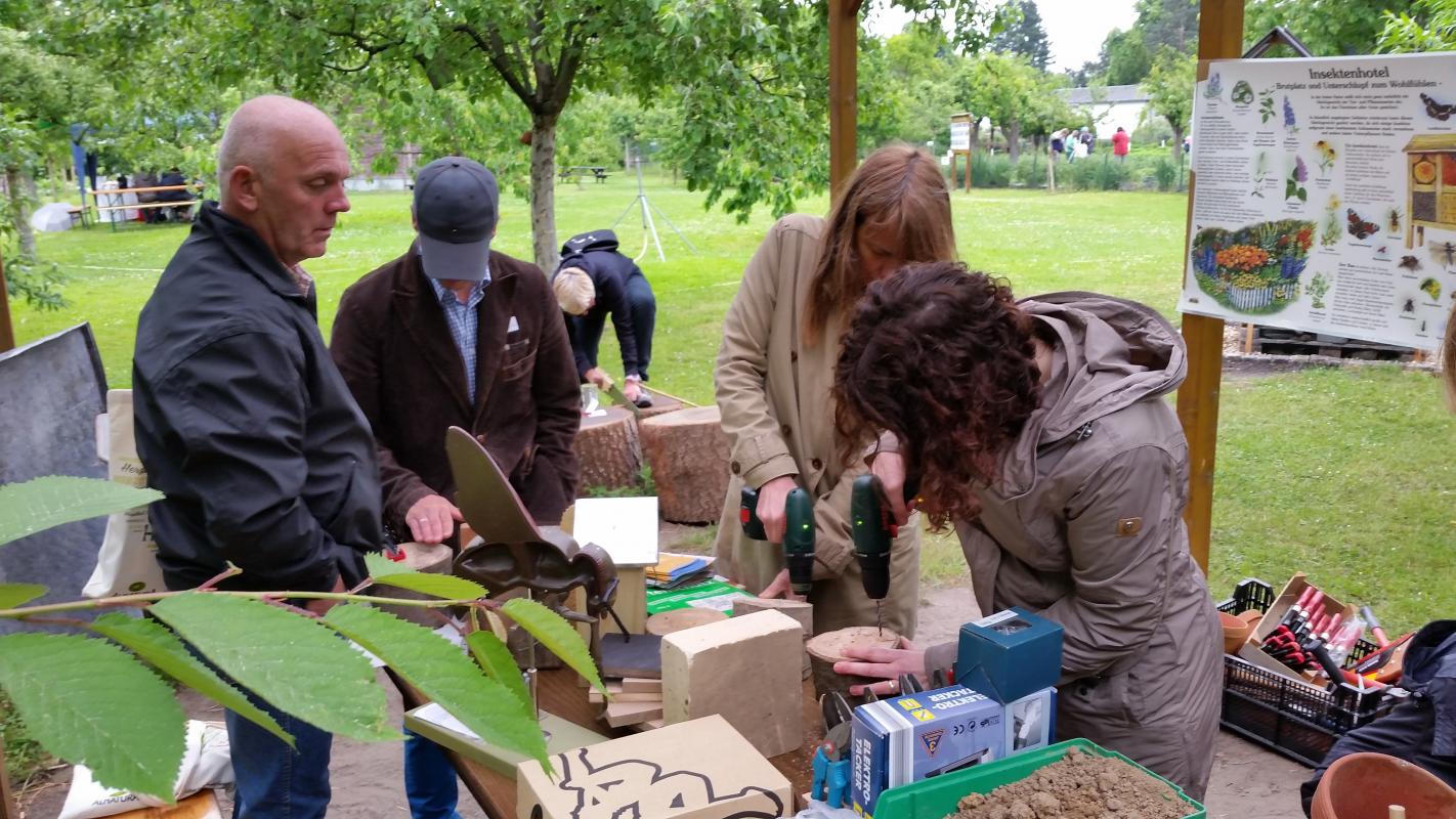 Workshop "Nisthilfenbau für Wildbienen" auf dem Berliner Schulgartentag 2015