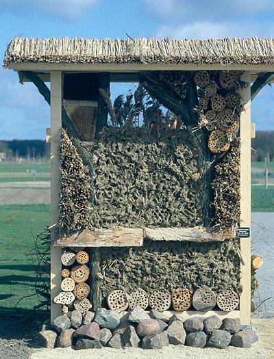 Wildbienen-Nistwand auf der BUGA 2001